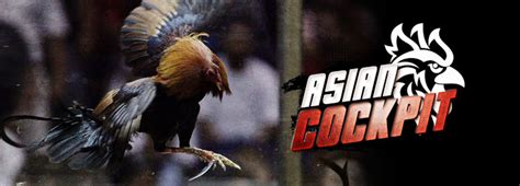 ONLINE SABONG: Asian Cockfighting (ACF).
